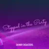 Skinny Disasters - Stepped in the Party - Single